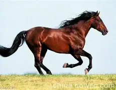 开云体育网址-巴萨vs马竞比分